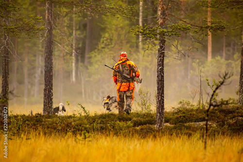 Hunter and hunting dogs chasing in the wilderness Fototapet
