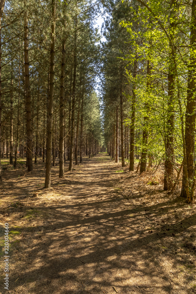 Follow the path Follow the path
