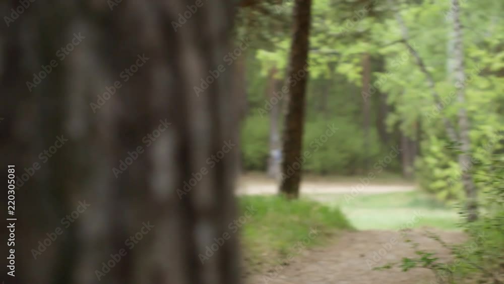 Tracking shot of cheerful elderly woman and man running along forest trail and smiling Tracking shot of cheerful elderly woman and man running along forest trail and smiling