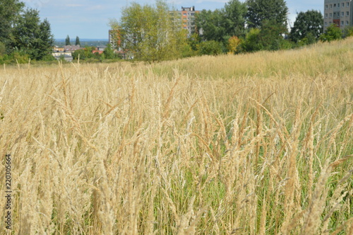 Krajoobrazy  Mysłowickie -Janów