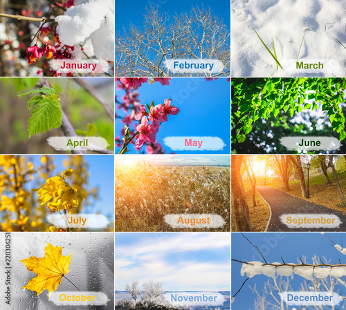 blank with different twelve colored images of nature for calendar.