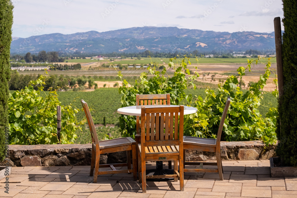 Fototapeta premium winery