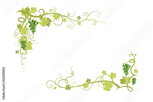 Vine nature frame