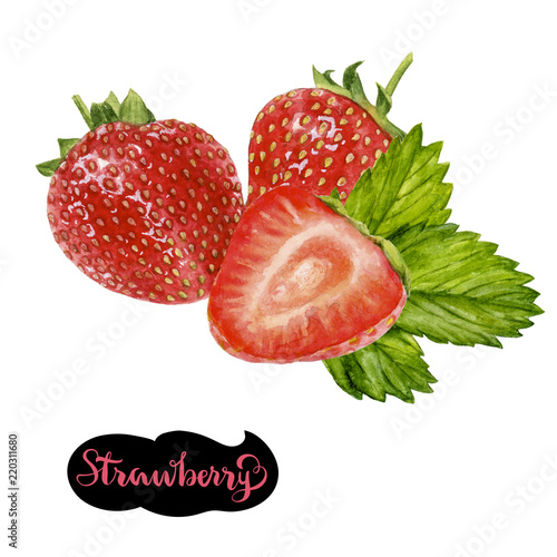 strawberry watercolor illustration