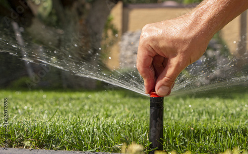 automatic sprinkler system watering the lawn on a background of green grass photo