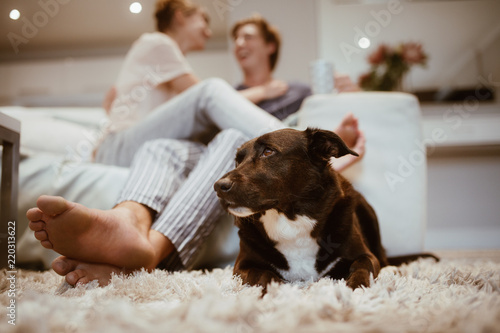 Happy couple with a pet dog at home