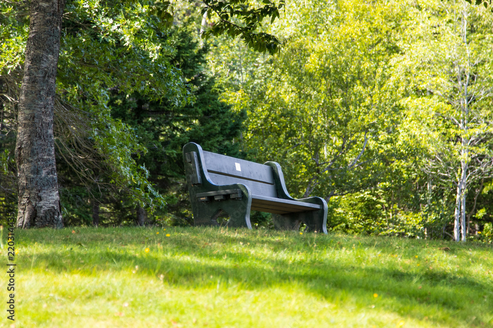 bench, park, garden, chair, grass, green, nature, summer, tree, seat,  wooden, wood, furniture, outdoors, relaxation, outdoor, relax, chairs,  lawn, spring, empty, nobody, rest, table, gardening Stock Photo | Adobe  Stock