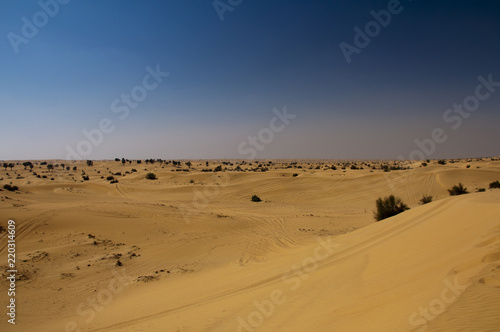 Sand dune of Dubai
