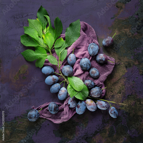 fresh, tasty plums on a branch from the garden, decorated on violet purple background with leaves photo