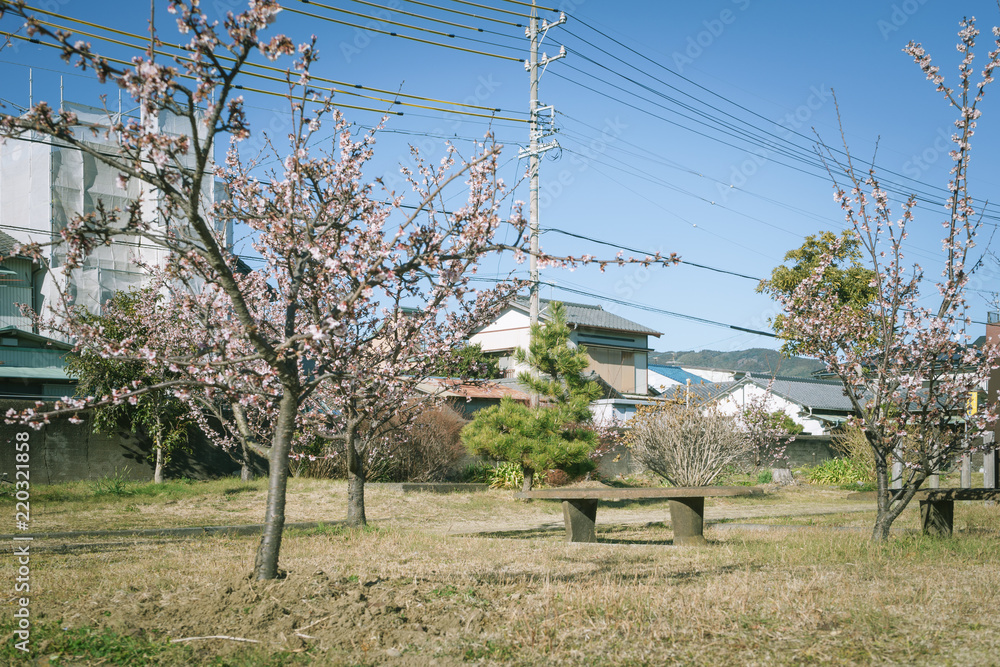 Obraz premium ベンチのある風景 清水清見潟公園