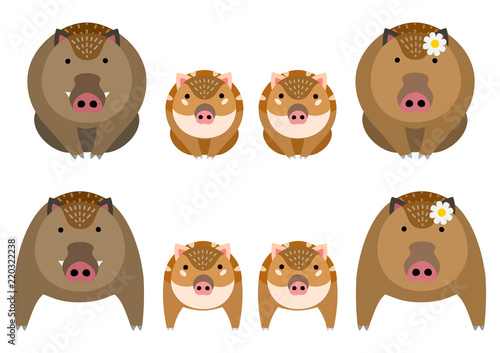 Cute boar family set