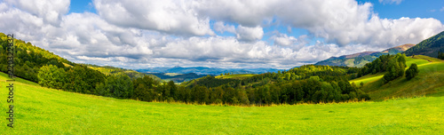 panorama of green alpine meadow in autumn. forested hills and distant mountain ridge in good weather.