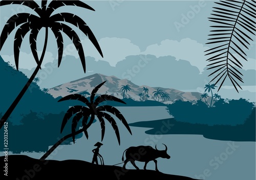 vector illustration of China with man with buffalo in jungle rainforest wetlan photo