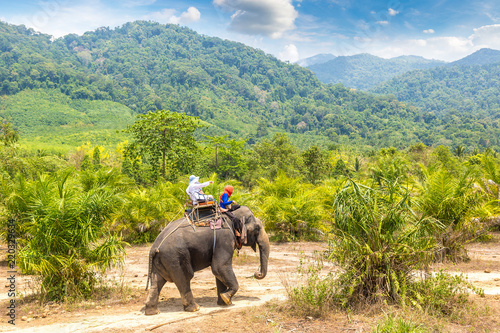 Canvas Print Tourists riding elephant in Thailand