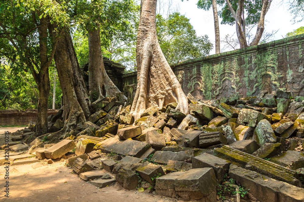 Ta Prohm temple in Angkor Wat Ta Prohm temple in Angkor Wat