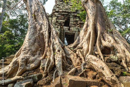 Preah Palilay temple in Angkor Wat © Sergii Figurnyi