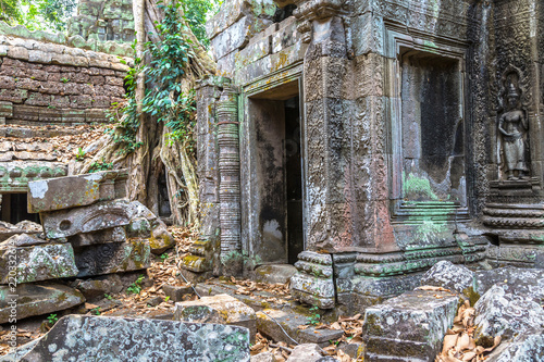 Fototapeta Naklejka Na Ścianę i Meble -  Ta Prohm temple in Angkor Wat