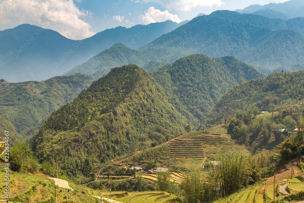 Obraz premium Terraced rice field in Sapa