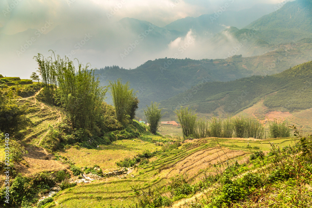 Terraced rice field in Sapa Terraced rice field in Sapa
