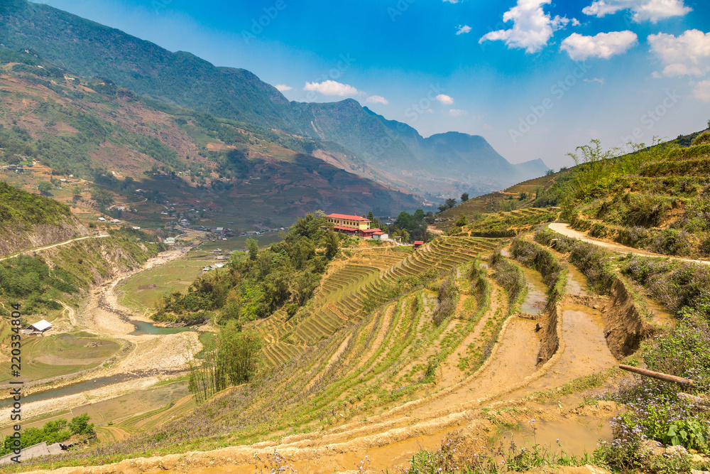 Terraced rice field in Sapa Terraced rice field in Sapa