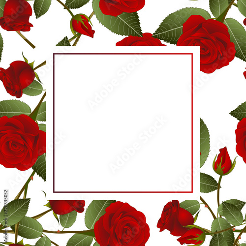Red Rose on White Banner Card