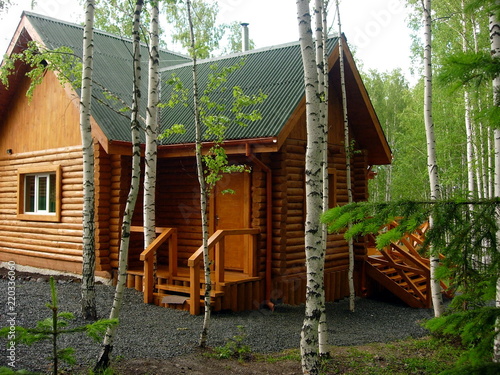 wooden made house in the forest