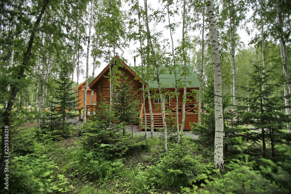 wooden made house in the forest wooden made house in the forest