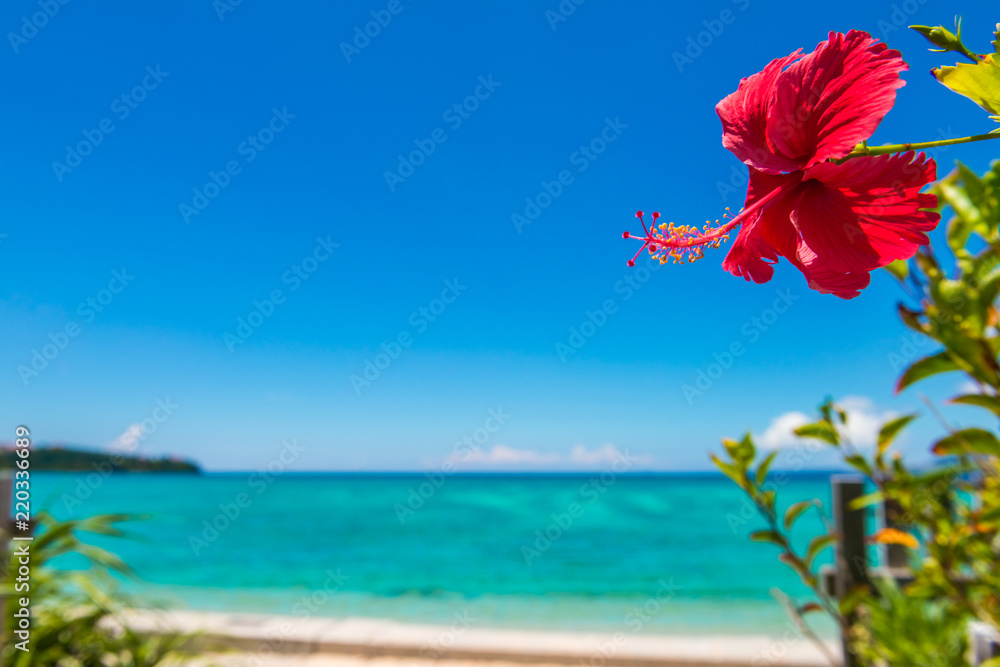 沖縄の海とハイビスカス Stock 写真 | Adobe Stock