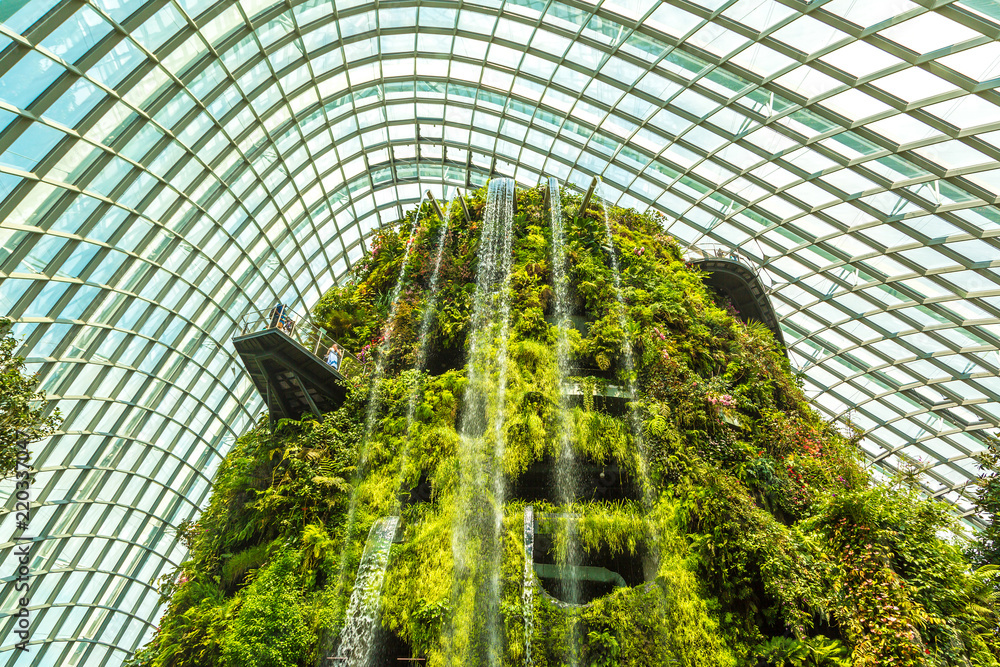 Fototapeta premium Cloud Forest Dome w Singapurze