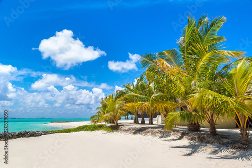 Tropical beach in the Maldives