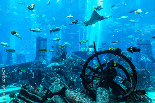 Aquarium in Hotel Atlantis in Duba photo