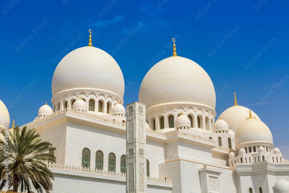 Fototapeta premium Sheikh Zayed Grand Mosque in Abu Dhabi