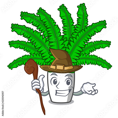 Witch cartoon natural green fern in the forest