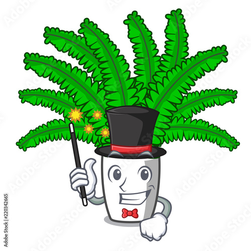 Magician fresh fern branch isolated on mascot