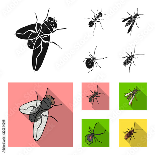 An insect arthropod, an osa, a spider, a cockroach. Insects set collection icons in black,flat style vector symbol stock isometric illustration web.