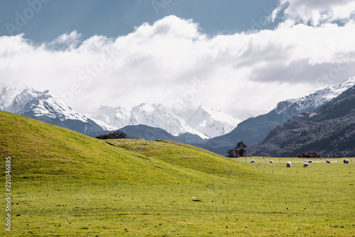 Alpine scenery at Mount Aspring national park. Hiking in New Zealand photo