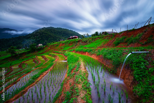 Viewpoint,Terraced rice field in Pa Pong Pieng,Mae Chaem,Chiang Mai,Thailand