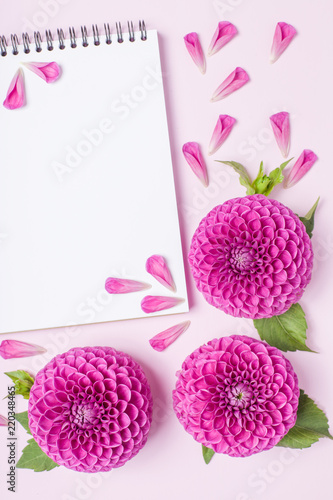Fototapeta Naklejka Na Ścianę i Meble -  Dahlia ball-barbarry flowers and petals with green leaves and buds.