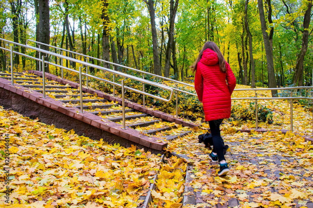 A girl in a red jacket walks a dog in a park in the fall. A girl in a red jacket walks a dog in a park in the fall.