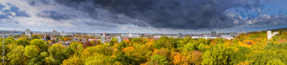 Panoramic view of the city in the trees.