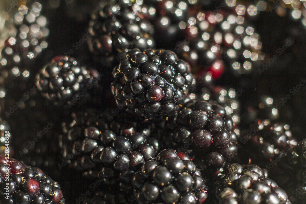 lots of sweet ripe blackberries lots of sweet ripe blackberries