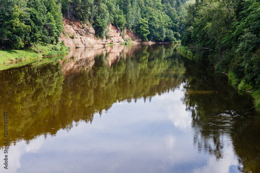 sunny summer day with the river and the forest landscape - beautiful forest reflection in the river; There are some trees in the water on the shore sunny summer day with the river and the forest landscape - beautiful forest reflection in the river; There are some trees in the water on the shore
