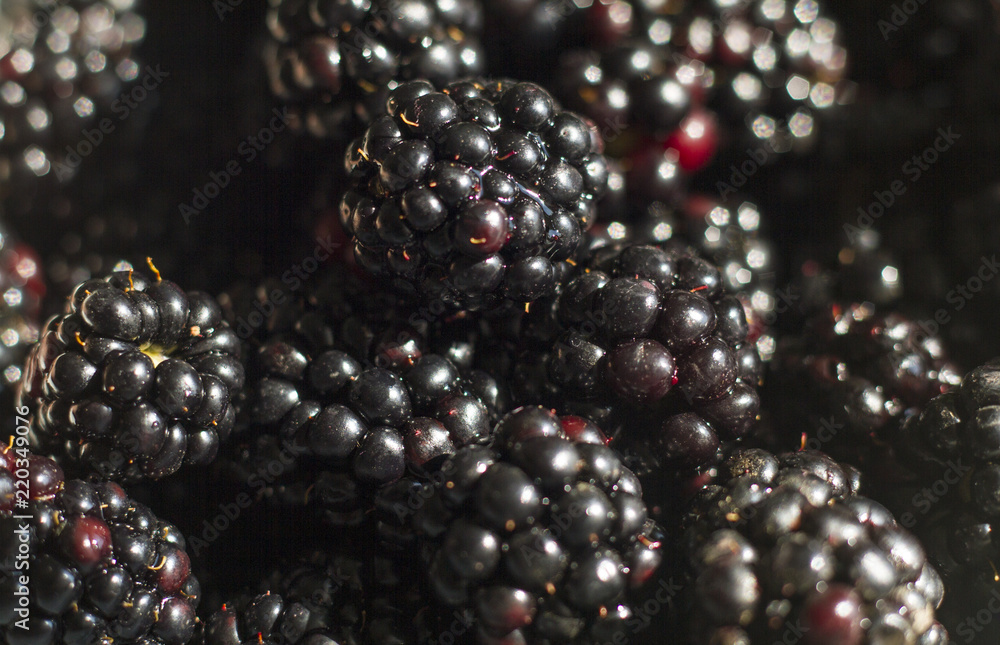 lots of sweet ripe blackberries lots of sweet ripe blackberries