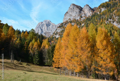 autumn in the mountains