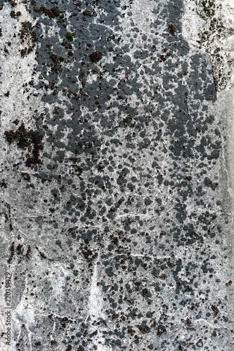 old concrete wall with traces of destruction and mold