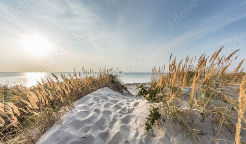 Fototapeta Naklejka Na Ścianę i Meble -  traumstrand