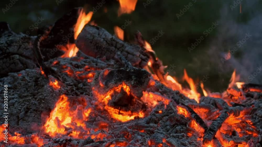 Small flames near nature path. Small flames near nature path.