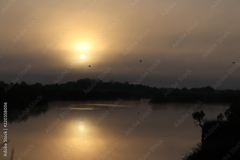 coucher de soleil avec des oiseaux