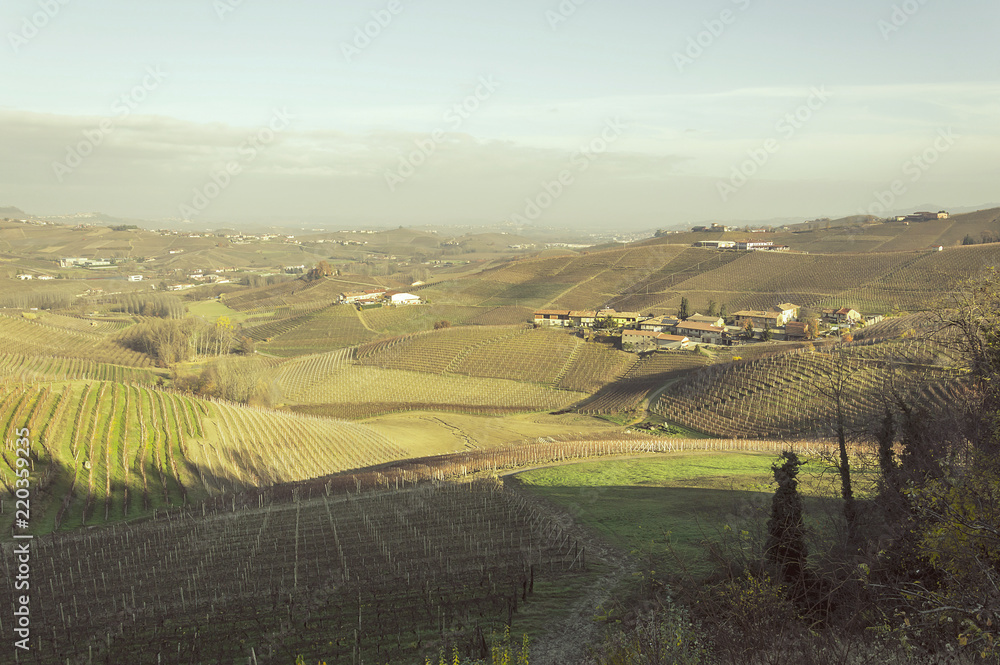 Scenic view of the freshly harvested grape fields in autumn in Barolo valley
