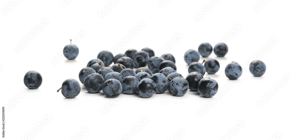 Fresh blackthorn berries isolated on white background Fresh blackthorn berries isolated on white background